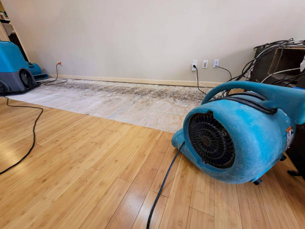 Professional Structural Drying technician working in Madisonville, LA